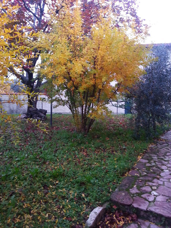 Gli Aceri B&B Аркола Экстерьер фото